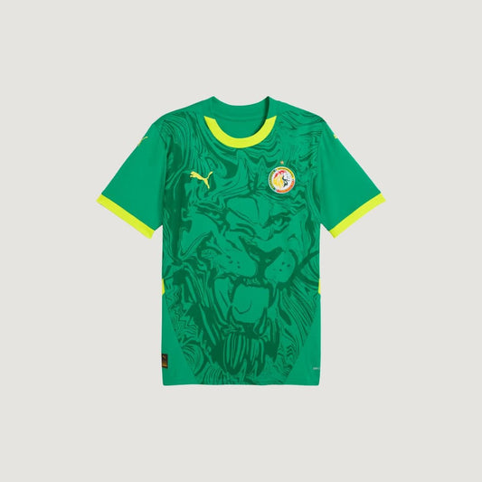 Sénégal - Maillot Extérieur 24/25 - Vert, Jaune