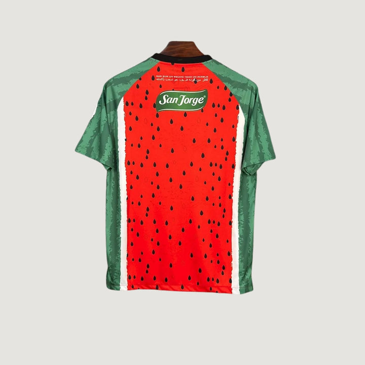 CD Palestino – Maillot Third 2025/26 – Pastèque